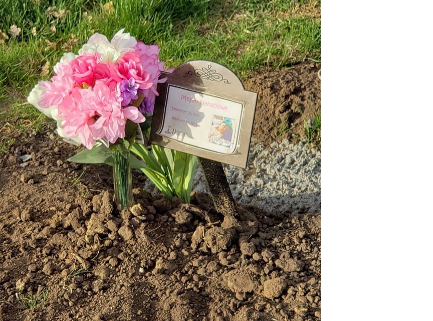 Megan (RIP) 2019 in America